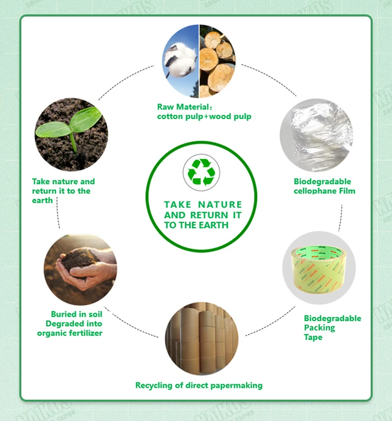 biodegradable sellotape.jpg biodegradable sellotape.jpg